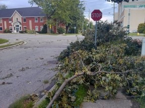 A severe thunderstorm that swept through Sarnia and parts of Lambton County Saturday afternoon left over 10,000 Bluewater Power customers without electricity, as well as downed trees and branches throughout the city. (Chris O’Gorman/ Sarnia Observer)