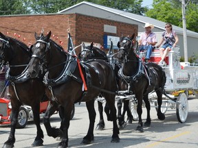 A horse and buggy bumps along the parade route at Oil Springs' 150th anniversary on Saturday. (Brent Boles/ Postmedia Network)