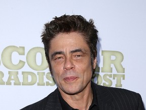Benicio Del Toro (FayesVision/WENN.com)