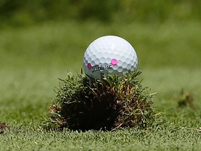 A golf ball rests on a clod of turf. (AP Photo/Frank Franklin II/FILE)