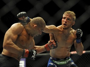 Renan Barao (red) dodges a punch from TJ Dillashaw (blue) during their UFC 173 bantamweight championship bout at MGM Grand Garden Arena. Dillashaw won the bout by way of TKO. (Stephen R. Sylvanie-USA TODAY Sport