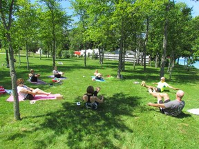 Susan Jones, centre, leads a session of Yoga on the Cliff in Sunset Acres Park on Wednesday July 22, 2015 in Plympton-Wyoming, Ont. The sessions run Wednesdays from 10:30 a.m. to 11:45 a.m. (Paul Morden, The Observer)