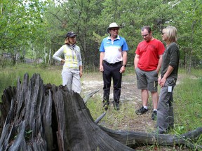 Tina McCaffrey, right, supervisor of the regreening program with the City of Greater Sudbury, gives a tour of the Jane Goodall Reclamation Trail in Coniston as Communities in Bloom judges Donna Harrison, left, and Leo Ostner and Jason Marcon, chairman of the Coniston Community Action Network, look on in Coniston, Ont. on Wednesday July 22, 2015. . John Lappa/Sudbury Star/Postmedia Network