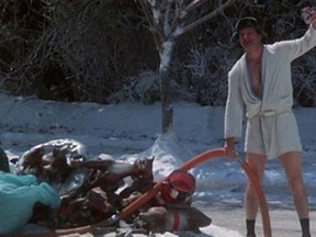 Randy Quaid as Cousin Eddie in Christmas Vacation.