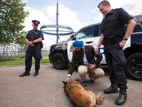 Edmonton Police Service Cst. Jason Born (right) and his police dog Xeiko, a Belgian Malinois police dog, introduce themselves to Minister of State for Multiculturalism Tim Uppal (centre) while Acting Staff Sgt. Adam Segin looks on during a news conference about Quanto's Law at the EPS' Vallevand Kennels in Edmonton, Alta., on Thursday July 23, 2015. The law, which came into effect on June 23, 2015, increases the legal penalty for killing or wounding service dogs. Ian Kucerak/Edmonton Sun