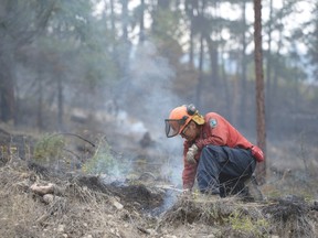 A fireman works on a wild fire burning in West Kelowna, B.C. Thursday, July 23, 2015. THE CANADIAN PRESS/Jonathan Hayward