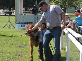 A younger competitor is helped show his entry during the junior beef show on Friday morning at the Vermilion Ag Grounds.