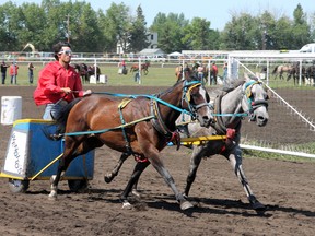 Pony chariots