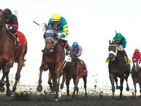 Jockey Rafael Hernandez guides Shaman Ghost (far left) to victory in the $150,000 Marine Stakes at Woodbine Racetrack in May this year.(Michael Burns photo)