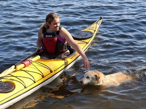 Bear the dog greets Adriana Roque as she takes a break from kayaking on Ramsey Lake. Environment Canada is predicting a high today of 32 C, which would make it the hottest July 28 on record in Sudbury.
 John Lappa/Sudbury Star
