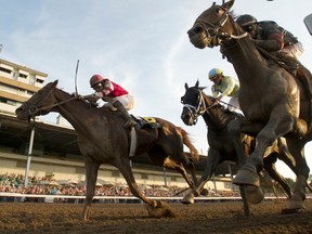 Jockey Jim McAleney guides Breaking Lucky to victory in the Prince of Wales Stakes at Fort Erie Race Track last night. (Michael Burns/photo)