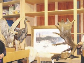 Nancy Daigle (left to right), Laurie Belisle and Pam Robertson display the museum pieces that will now make their home at Kettle Lakes Provincial Park.