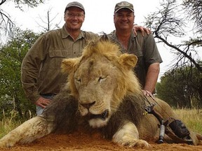 Walter James Palmer (left) poses with animals killed while on safari in this undated handout photo. Palmer, an avid hunter, is accused of illegally killing a well-known and protected lion, named Cecil, during a big game hunt in Zimbabwe. The killing has outraged animal conservationists and others worldwide. Handout/Postmedia Network