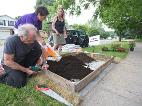 Ron Benner, Stephanie Kelly and Wendy Goldsmith engage in some ?guerrilla gardening? by building a flower bed on top of a concrete slap intended to hold a community mailbox in London. (DEREK RUTTAN, The London Free Press)
