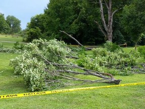 Four people were injured Saturday afternoon after a large tree branch fell on a group of people at Fitzroy Provincial Park, in rural west Ottawa. TWITTER PHOTO