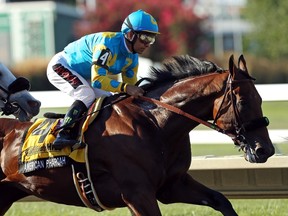 Victor Espinoza rides atop American Pharoah  during the Haskell Invitational at Monmouth Park on Aug. 2. (Getty Images)