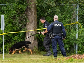 An Ottawa Police K-9 Unit searches for evidence in relation to a shooting in the area of Brookfield High School in Ottawa on Monday August 3, 2015. 
Errol McGihon/Ottawa Sun