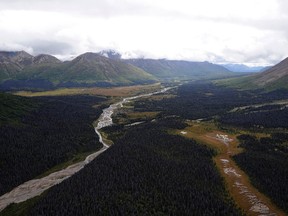 A general view of Kluane National Park near Haines Junction, Yukon August 26, 2011. (REUTERS/Sean Kilpatrick/Pool)