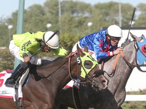 Taking mom to Assiniboia Downs could be an option for Mother's Day.
Brian Donogh/Winnipeg Sun/Postmedia Network