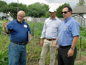 Derwyn Armstrong, co-ordinator of Chatham-Kent’s community gardens, left, guides Communities in Bloom judges Alain Capelle and Richard Daigneault through the CLAC community garden in Chatham on Friday, July 31, 2015. Blair Andrews/Postmedia