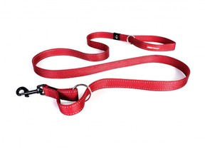 dog leash