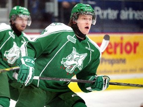 Sudbury Wolves forward Michael Pezzetta. Gino Donato/The Sudbury Star