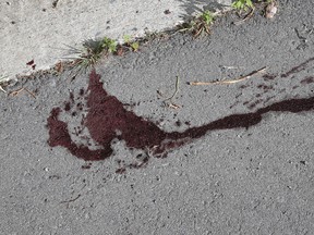 Spattered blood can be seen on Mountain Street where a man was assaulted in Sudbury, Ont. on Tuesday August 4, 2015. Gino Donato/Sudbury Star/Postmedia Network