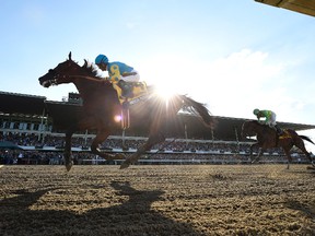 Triple Crown winner American Pharoah, with Victor Espinoza riding (left), won the $1.75-million Haskell Invitational in New Jersey with ease, giving owner Ahmed Zayat several money-making options in the weeks ahead. (AP/PHOTO)