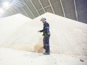 Chris McKay, PotashCorp load-out supervisor at the Cory Mine, examines potash inside one of the storage facilities near Saskatoon, Saskatchewan in this October 10, 2013 file photo. REUTERS/David Stobbe/Files