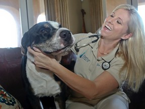 Dr. Jessica Vogelsang, a hospice veterinarian for Paws Into Grace and the author of All Dogs Go To Kevin: Everything Three Dogs Taught Me, poses for a photo with  Ramone, a mix breed from the Swiss Mountain Shar-Pei, family Tuesday, July 28, 2015, in San Diego. Dogs provide comfort not just in death, but in other difficult times, whether it's depression, job loss or a move across country. Dogs know when people are dying or grieving through body language cues, smells only they can detect and other ways not yet known, experts say.  (AP Photo/Lenny Ignelzi)