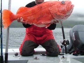 Canadian fishing guide Andreas Handl. (Linkedin Photo)