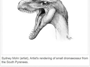 Sydney Mohr (artist), Artist's rendering of small dromaeosaur from the South Pyrenees.