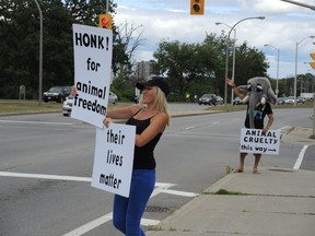 Members of the Ottawa Animal Defense League protest on the streets outside of the RA Centre parking lot against animal captivity on Friday, Aug. 7, 2015.
JULIENNE BAY/Ottawa Sun