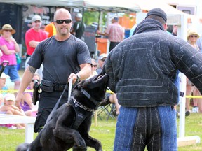 Const. Jeff Dickson and his canine partner Zeus demonstrated Zeus's bite-and-hold technique on Youth Programs Officer Josh Conner at the Kingston Sheepdog Trials in Kingston, Ont. on Friday August 7, 2015. Steph Crosier/Kingston Whig-Standard/Postmedia Network