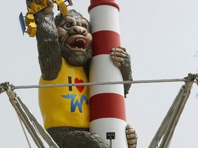 In this Sunday, May 10, 2015, file photo, Kong, a new ride attraction, is seen at Morey's Surfside Pier in North Wildwood, N.J. Kong was originally introduced on the pier in 1972 and was dismantled in 1980. In the new version, Kong wears an “I love Wildwood” t-shirt while clutching a famed Wildwood tram car and clinging to a 60-foot tall lighthouse at the ride’s center. (Dale Gerhard/The Press of Atlantic City via AP, File)