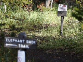 A sign at the Elephant Back Loop Trailhead shows the area is temporarily closed to travel in Yellowstone National Park, Wyoming after at least one grizzly bear attacked a hiker, who was found dead and partially eaten. (REUTERS/Jim Urquhart)