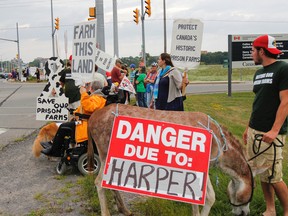 More than 50 Save Our Prison Farm supporters, along with Stormy the donkey, gather on the fifth anniversary of the last cattle being removed from  the Frontenac Correctional Institution in Kingston on Monday. (Julia McKay/The Whig-Standard)