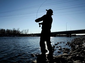 Zhi Hai Fang, a recent immigrant from Beijing, China, practices fly-fishing with his new rod in the Bow River waters near Glenmore Trail and Heritage Drive in southeast Calgary on Thursday, December 29, 2011. Zhi Hai hopes to properly learn the hobby this spring, although mild spring-like temperatures this day gave him an early head-start. (LYLE ASPINALL/CALGARY SUN)