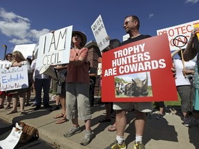 Protesters rally outside the River Bluff Dental clinic against the killing a famous lion in Zimbabwe, in Bloomington, Minnesota July 29, 2015. Wildlife officials initially accused American hunter Walter Palmer of killing Cecil, one of the oldest and most famous lions in Zimbabwe, without a permit after paying US$50,000 to two people who lured the beast to its death.  REUTERS/Eric Miller