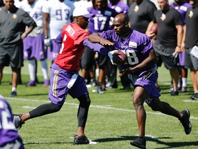 Minnesota Vikings quarterback Teddy Bridgewater hands the ball off to running back Adrian Peterson during practice at an NFL football training camp on the campus of Minnesota State University Wednesday, July 29, 2015, in Mankato, Minn. (AP Photo/Charles Rex Arbogast)