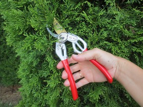 pruners