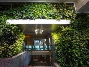 A living wall is seen during a tour of the Federal Building outside the Alberta Legislature in Edmonton, Alta., on Wednesday August 12, 2015. The building, which cost $403 million as of Jan. 2015 to renovate, holds offices for political parties. Political staffers are in the process of moving to the new space. Wildrose Party members have called the building cramped and costly. Ian Kucerak/Edmonton Sun/Postmedia Network