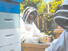 Humber Arboretum and Centre for Urban Ecology's beekeeping 101 workshop will be held at the north campus, which consists of botanical gardens and natural areas surrounding the Humber River and is home to seven beehives.