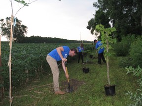 Submitted photo: Volunteers from the Sydenham Field Naturalists and Union Gas planted 30 native trees in Paw Paw Woods on July 29. The trees were purchased through the Helping Hands in action initiative, which supports Union Gas employees charitable efforts.