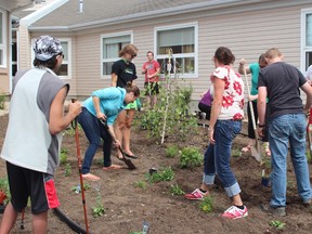 Volunteers plant flowers and shrubs at the Spruce View Lodge retirement home in Whitecourt, Alta. Aug. 4, 2014.