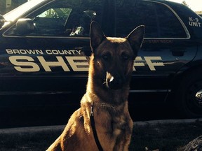Wix the dog (Brown County Sheriff's Office Facebook page).