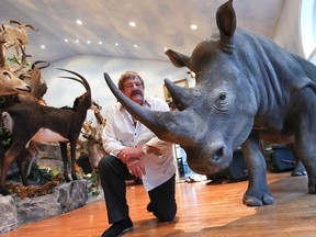 Safari man Georges D'Aoust shown at his home which is full of trophies after his more than 40 years of safari hunting. 
Ottawa Sun file photo