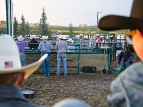 Two young cowboys watch the tie-down ropers getting ready in the chutes on Friday, Aug.15, 2015 at the Pincher Creek Pro Rodeo. John Stoesser photos/Pincher Creek Echo.
