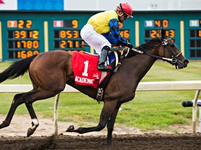 Academic, ridden by jockey Justin Stein, crosses the finish line first during the 86th running of the Canadian Derby at Northlands Park in Edmonton, Alta. on Saturday, Aug. 15, 2015. Codie McLachlan/Edmonton Sun/Postmedia Network