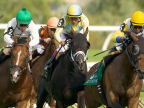 Jockey Patrick Husbands leads Danish Dynaformer to the front of the pack en route to winning the Breeders’ Stakes yesterday at Woodbine Racetrack. Michael Burns/photo)